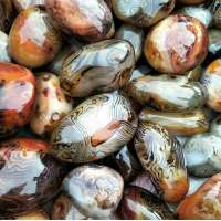 5 Pieces 1LB Natural Carnelian Silk Agate Quartz Crystal Polychrome Tumbled Palm Stones Healing Pretty Gem Stone