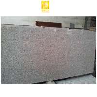 Cheap outdoor natural stone wall tile and grey granite floor slab